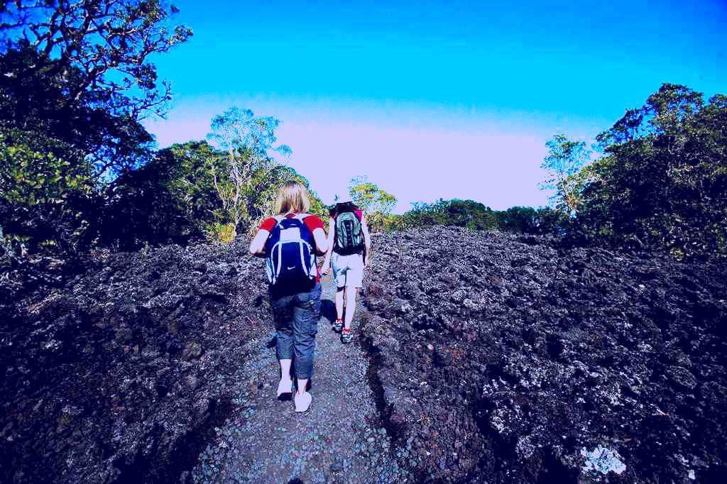 fullers rangitoto volcanic explorer tour