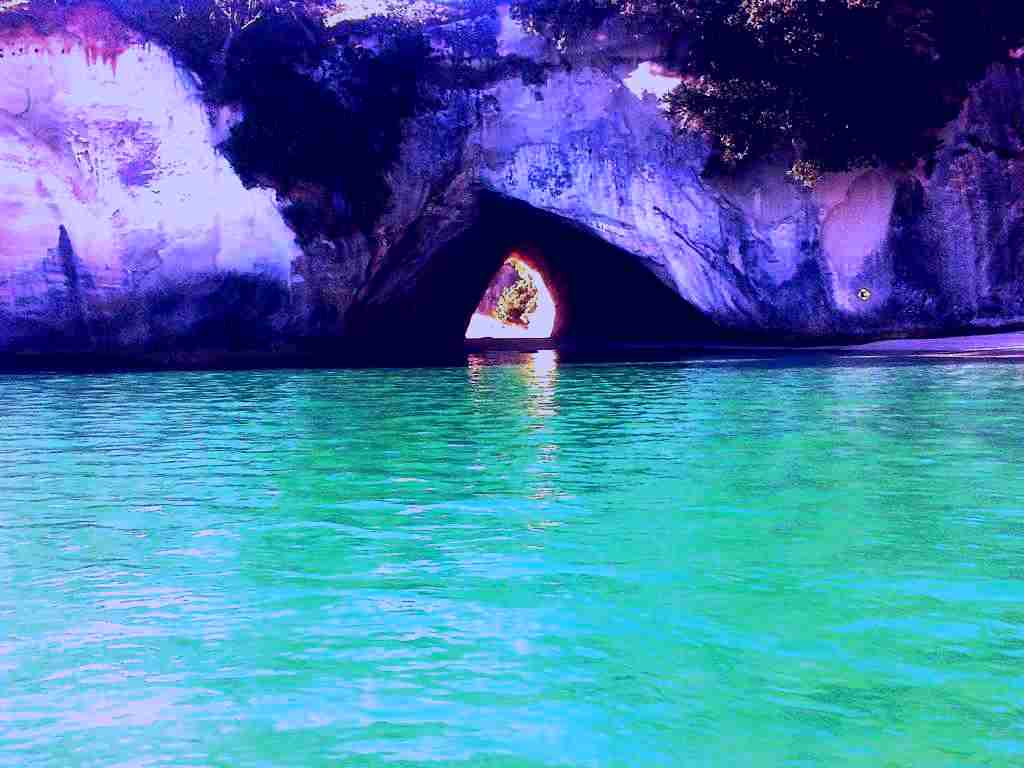 SubjectCoach | Sea Cave Adventures