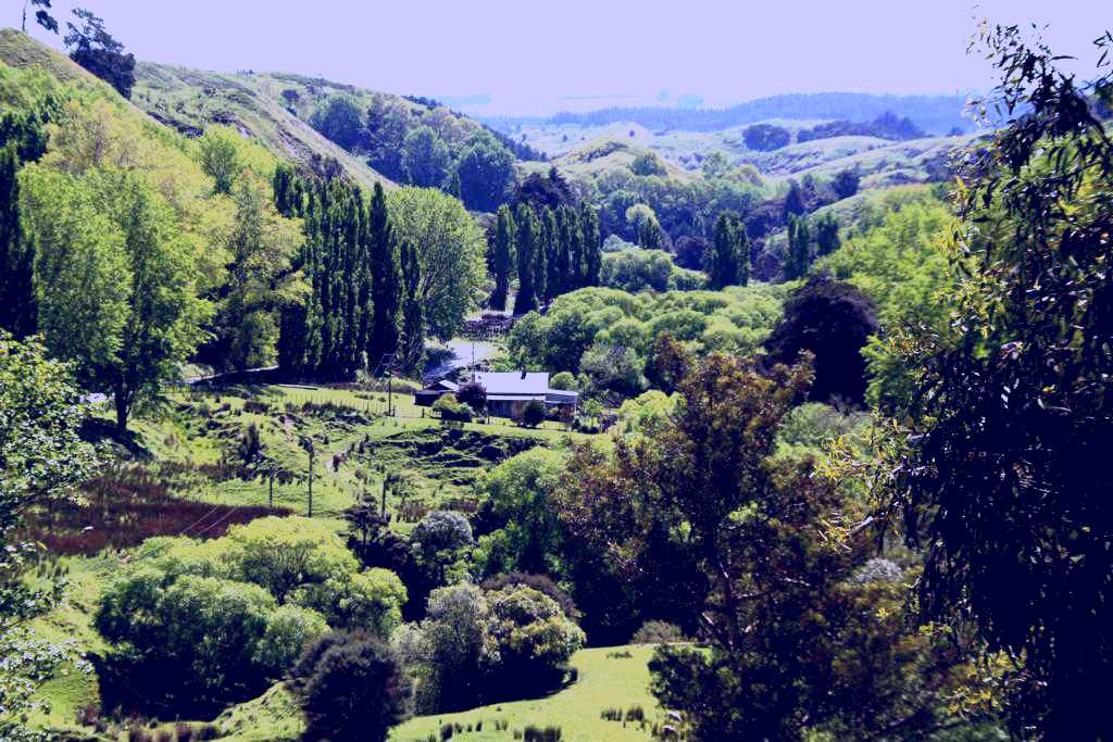 SubjectCoach | Rangitikei Farmstay