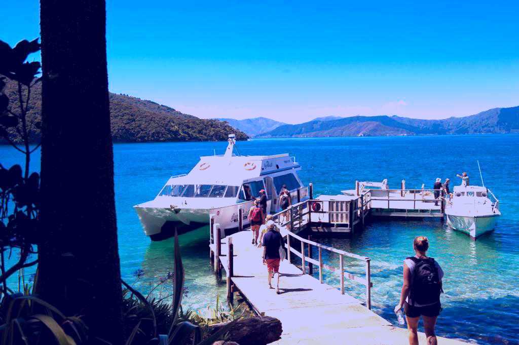 SubjectCoach | Beachcomber Cruises Ltd