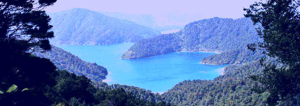 SubjectCoach | Pelorus Sound Water Taxi and Cruises