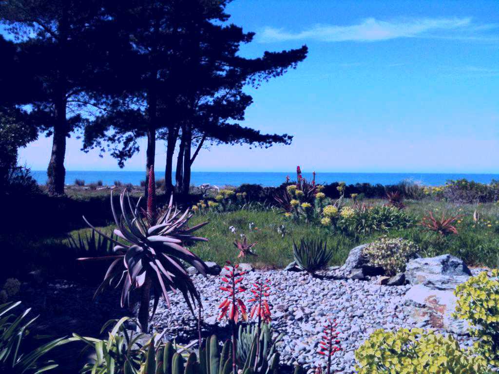 SubjectCoach | Rarangi Retreat