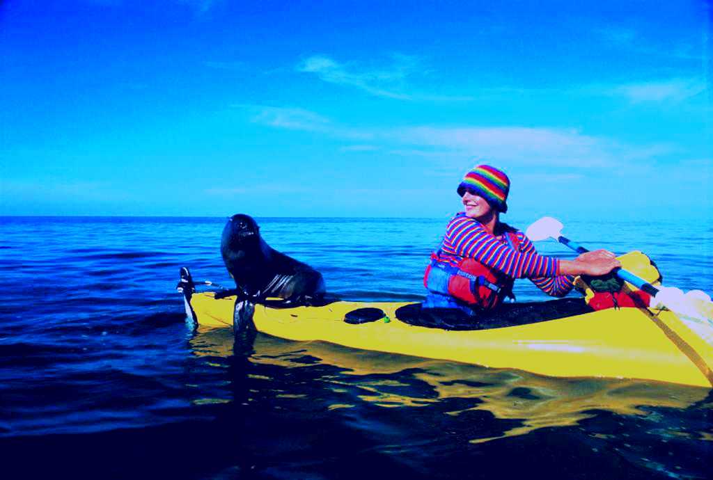 SubjectCoach | Kaiteriteri Kayak