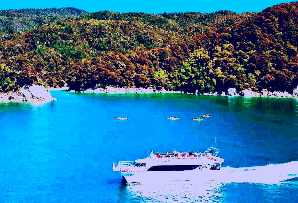 SubjectCoach | Abel Tasman Wilson's Vista Cruise Experience