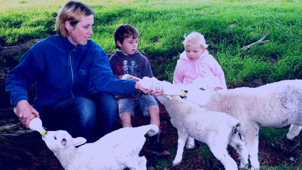 SubjectCoach | Ashgrove Farm Tours & Farmstay