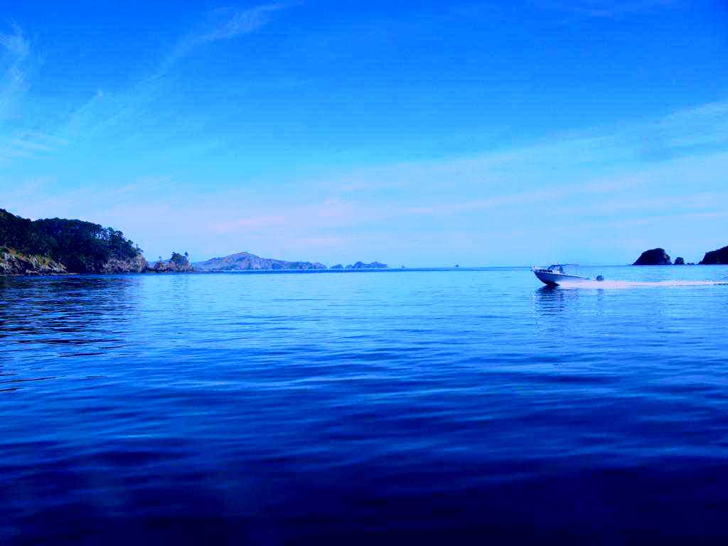 SubjectCoach | Dive Ops & Water Taxi, Island Shuttle services
