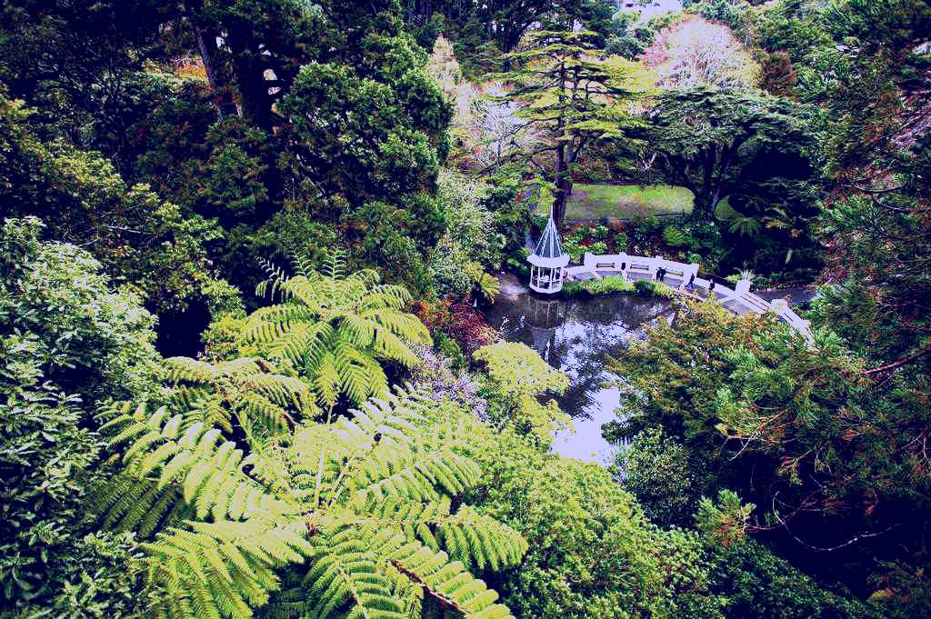 SubjectCoach | Wellington Botanic Garden