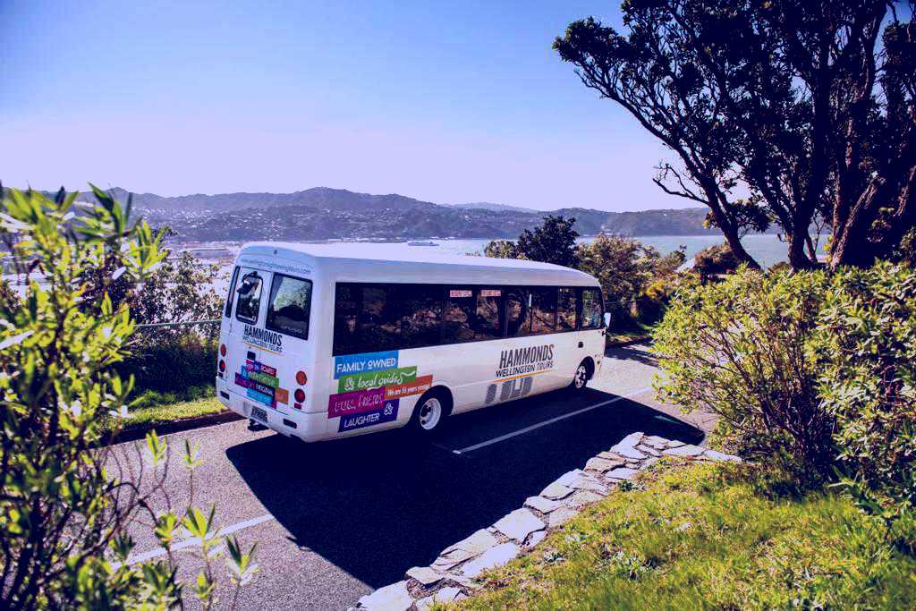 SubjectCoach | Wellington City Sights & Coastline Tour