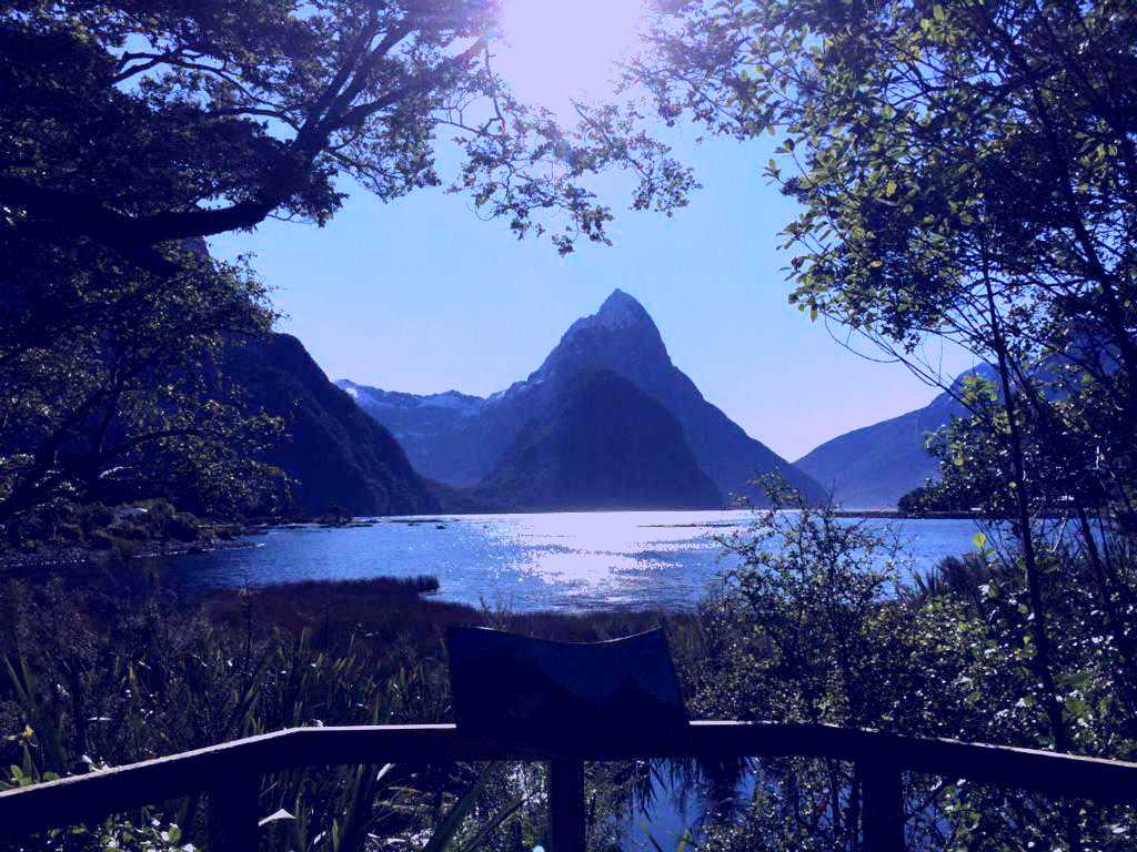 SubjectCoach | Milford Sound Flightseeing from Franz Josef