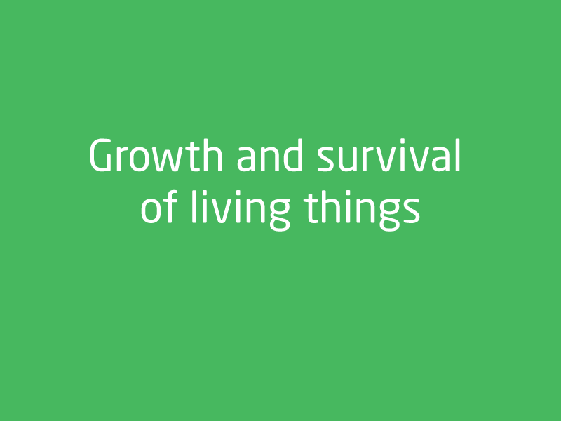 SubjectCoach | Biological Sciences: Growth and survival of living things 2
