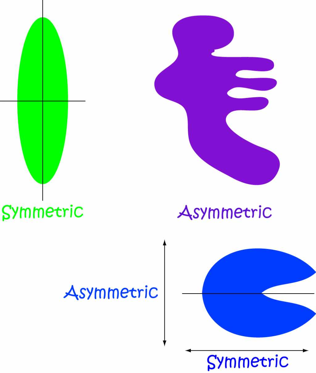 Definition of Asymmetry | SubjectCoach