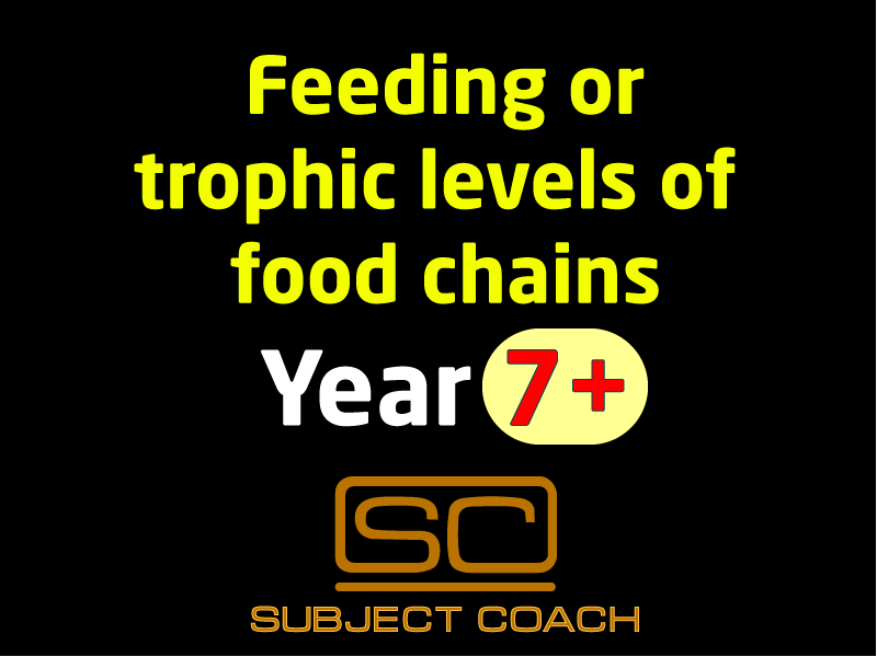 SubjectCoach | Trophic levels of food chains