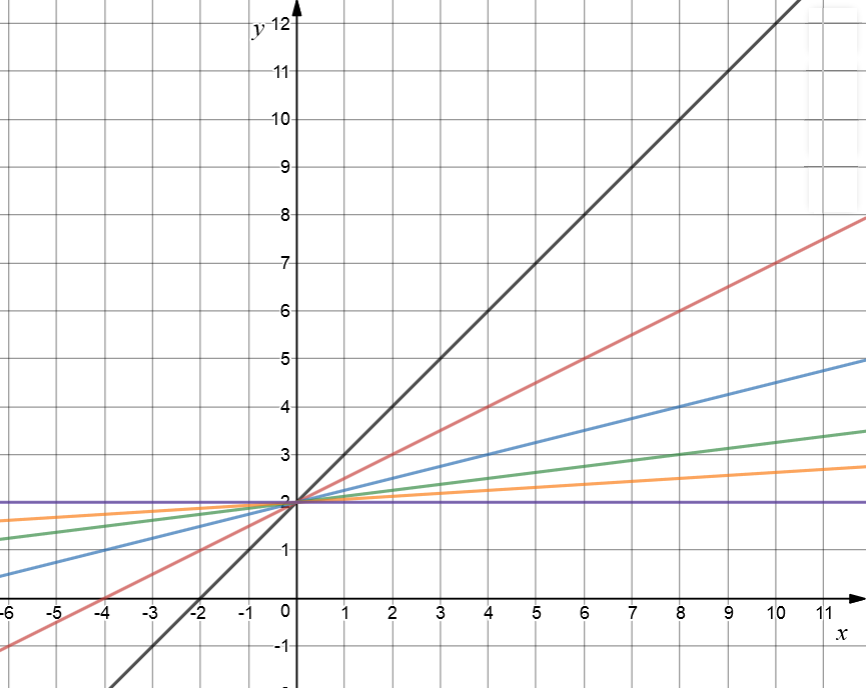 Exploring the Graph of a Straight Line Equation